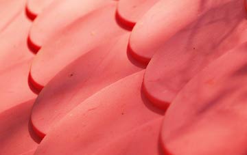 Trow plastic roof costs